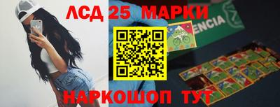 гидропоника Будённовск